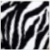 Animal Print Zebra